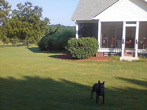 Back porch all new. Yard