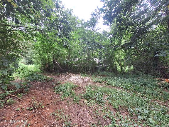 5th image of 426 Rudd Hollow Rd