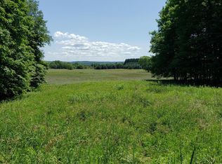 8245 Haines Rd, Alanson, MI 49706