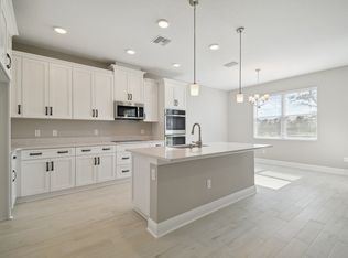 31194 Pendleton Landing Cir, Wesley Chapel, FL 33545