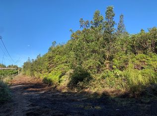 16-1534 Uhini Ana Rd #1-LOT 2330, Mountain View, HI 96771