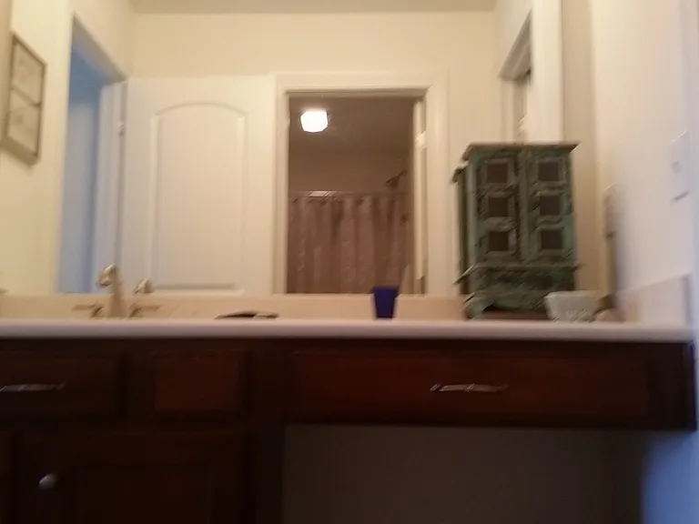 3356 Paisley Pointe — Photo 4