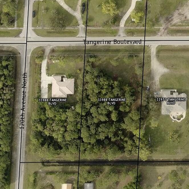 1st image of Xxxx Tangerine Boulevard