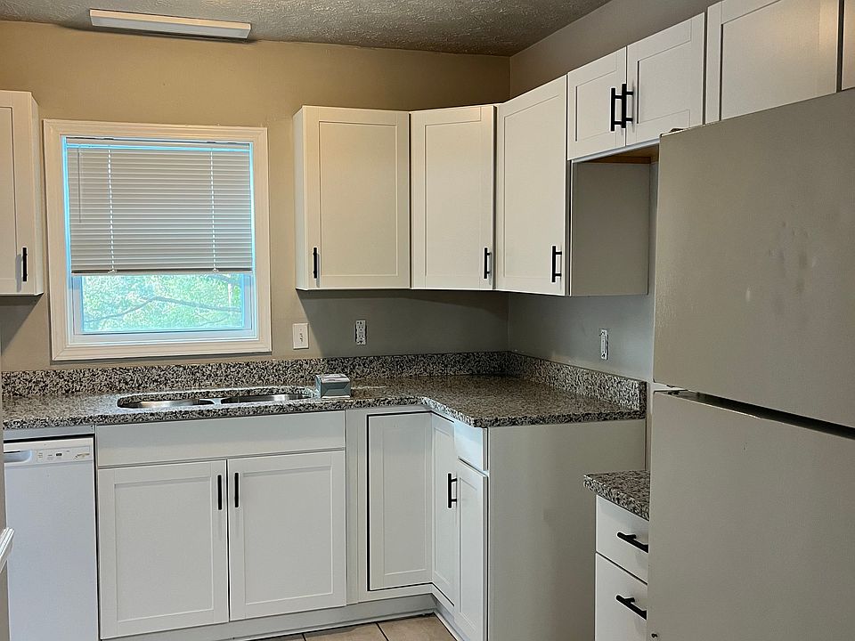 Kitchen - new kitchen cabinets
