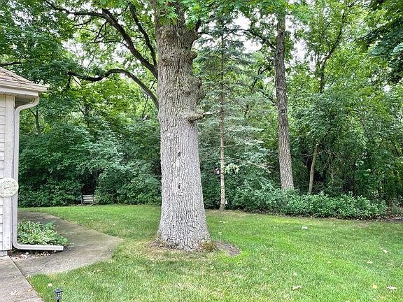 4th image of 702 Wood Creek Dr