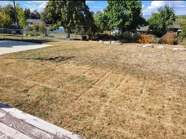 back yard, 3 garden boxes below