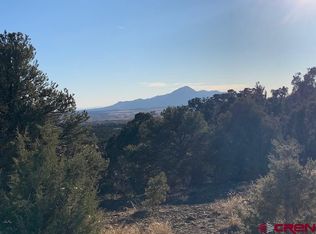 LOT 14 Road V.4, Dolores, CO 81323