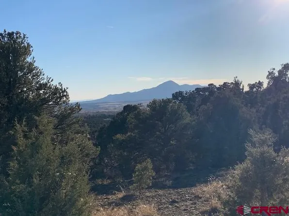 Lot 14 Road V.4, Dolores, CO 81323