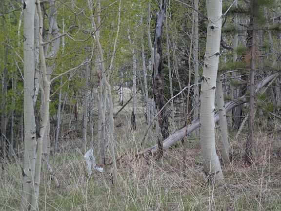 4th image of 1104 May Queen Dr