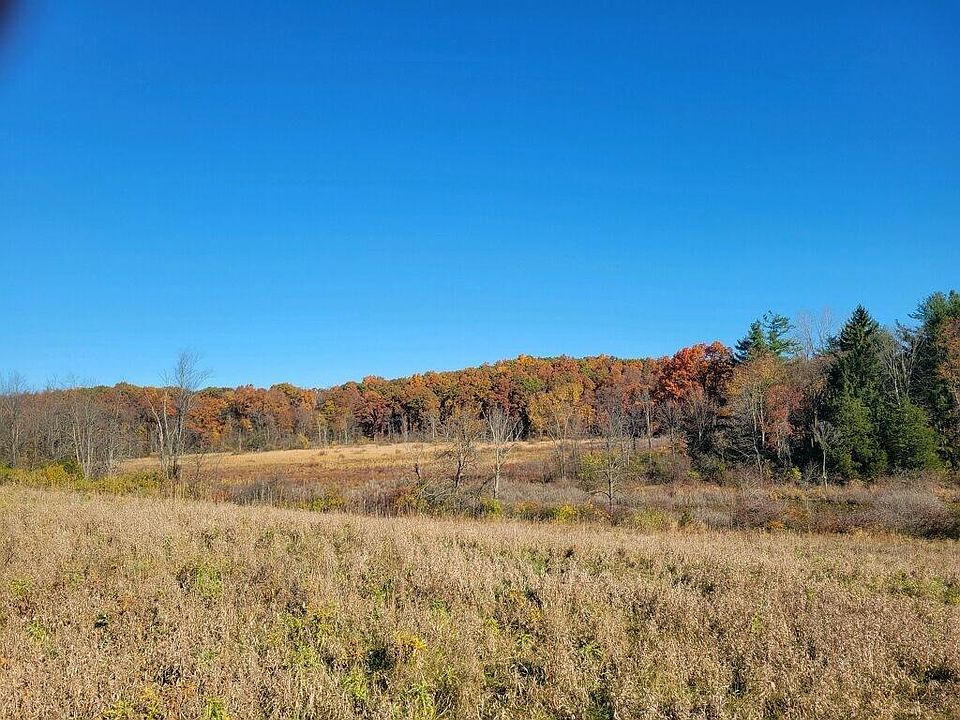 2nd image of 0 Tripp Rd