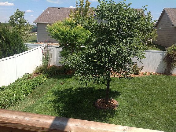 Back Yard very Private