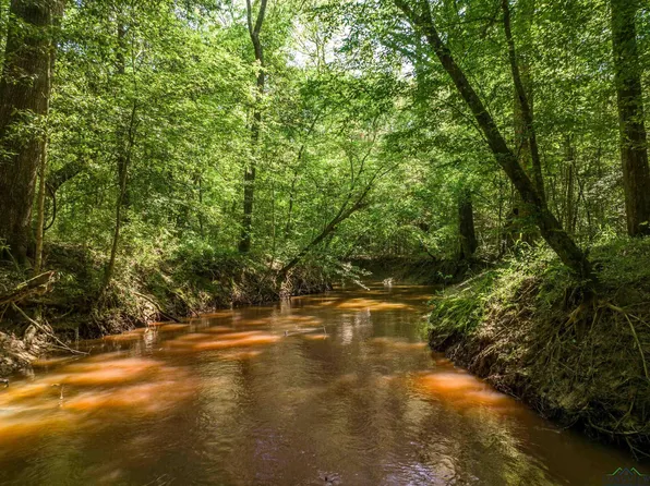 0 County Road 1122, Linden, TX 75563