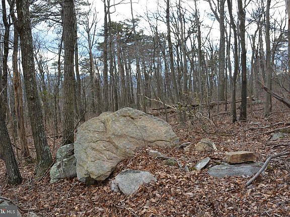 5th image of Rockwood Trl