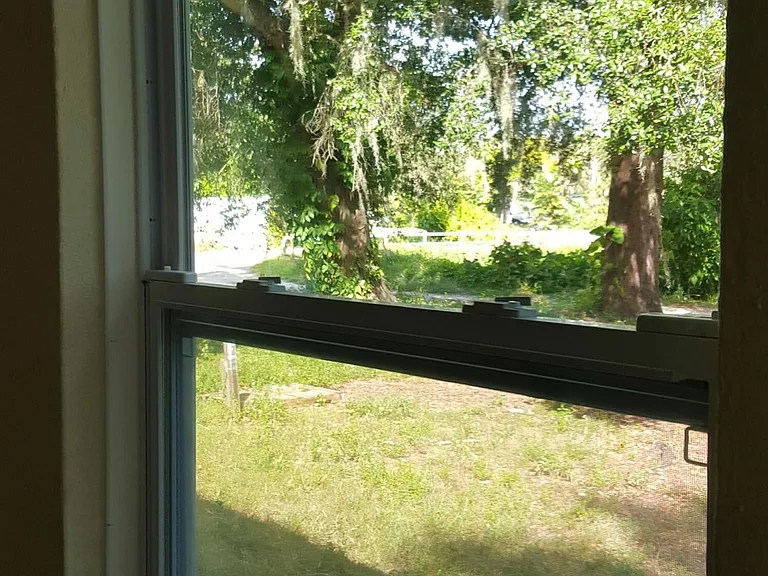 Crescent Lake Dr — Photo 11