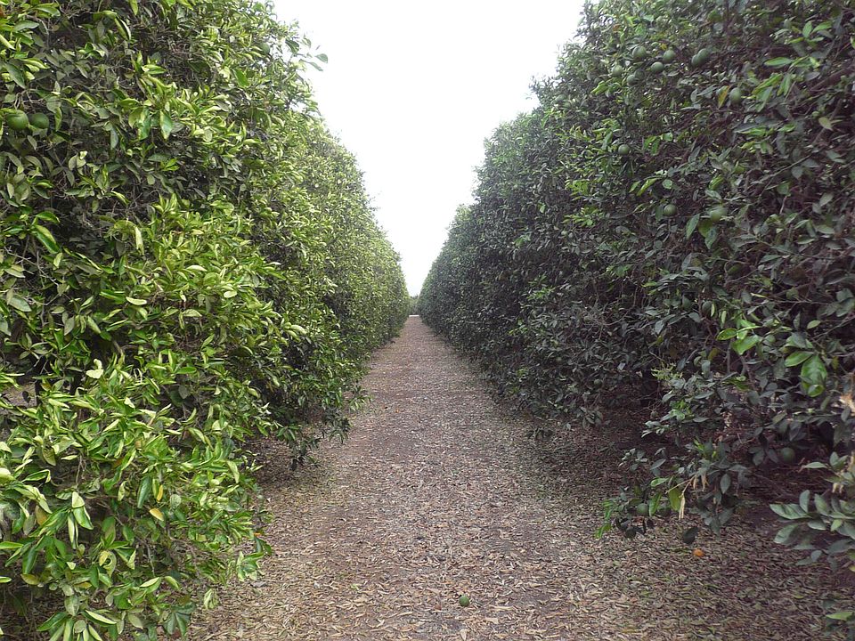 1st image of 34499 Road 188
