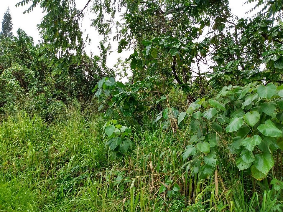 1st image of 12-283 E Pohakupele Loop Lot 181