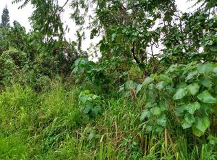 12-283 E Pohakupele Loop LOT 181, Pahoa, HI 96778