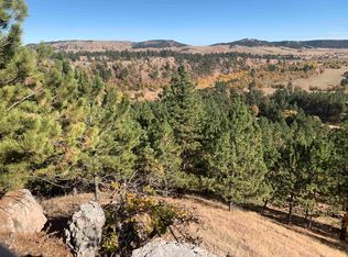 13038 Lance Ln, Piedmont, SD 57769