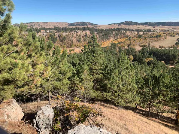 13038 Lance Ln, Piedmont, SD 57769