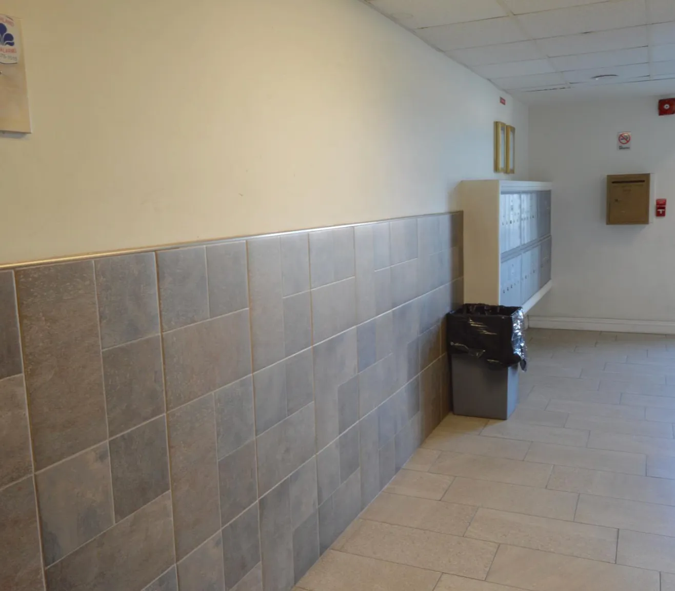 Studio, 800 sqft, $1,695 — Photo 2