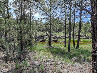 026&027 Birdsong Way, Lakeside, AZ, 85929