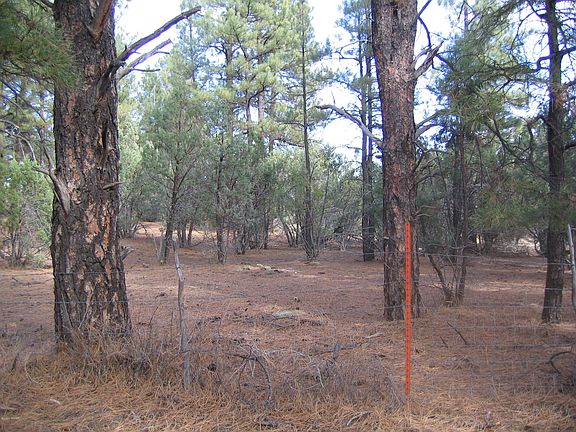 5th image of 1481 N 27th Dr