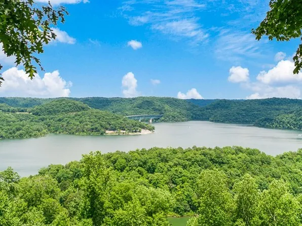 484 Bridgeview Pl, Smithville, TN 37166