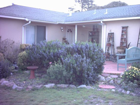 Sunny Living Room Faces South