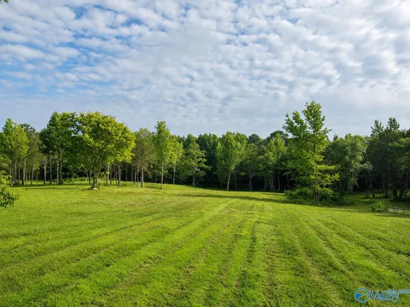 Naples Ln, Arab, AL 35016
