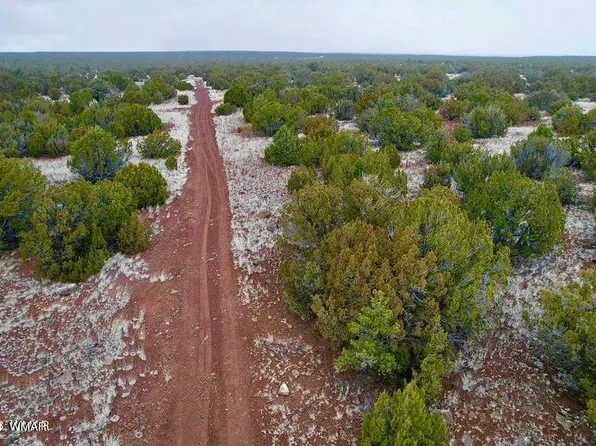 81 County Road 8072, Concho, AZ 85924