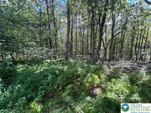 LOT 20ALA S Piney Woods Dr, Jim Thorpe, PA 18229