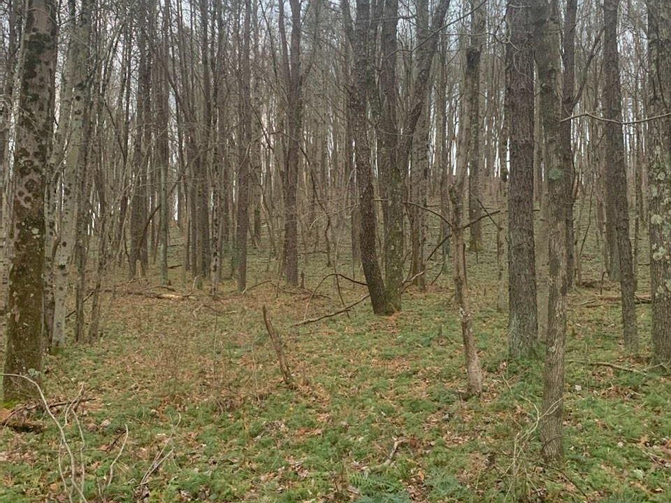 2nd image of 0 Eaton Hollow Rd SW