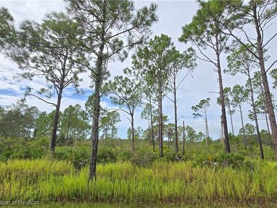 8219 Domenico St, Sebring, FL, 33872