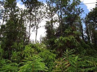 Omeka Rd, Volcano, HI 96785