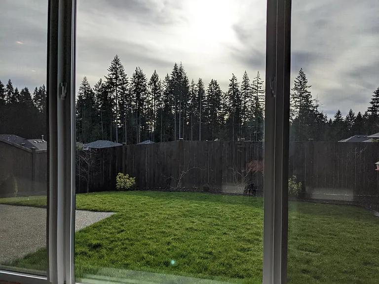 View from Living Room Window