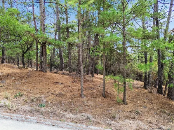 141 Kamaiki Dr, Bastrop, TX 78602