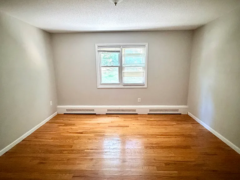 239 Fitch St #2C — Photo 12