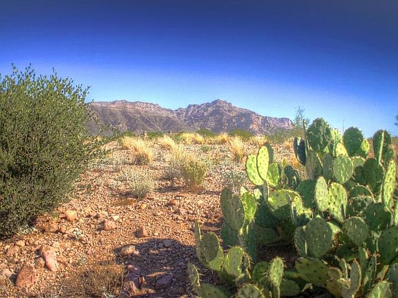 4th image of 2649 S Pinyon Village Dr