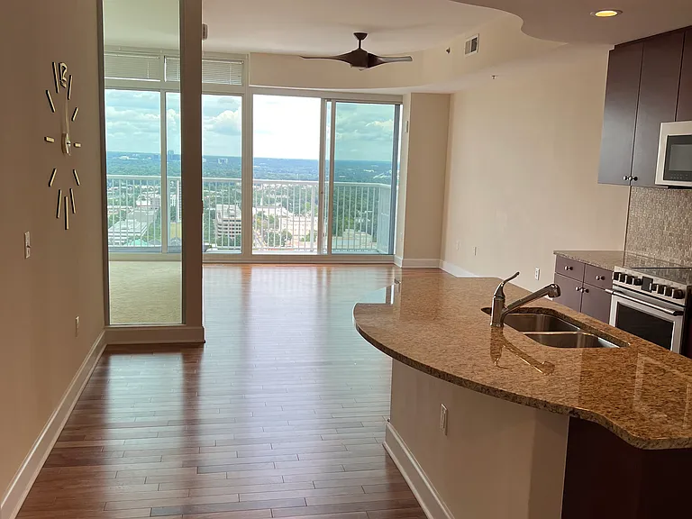 301 Fayetteville St #3102 — Photo 9