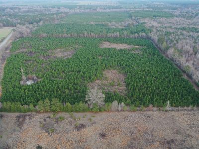 0 Highway 157, Plain Dealing, LA, 71064