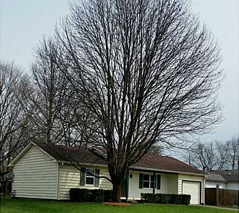 2nd image of 1212 Brooke Dr