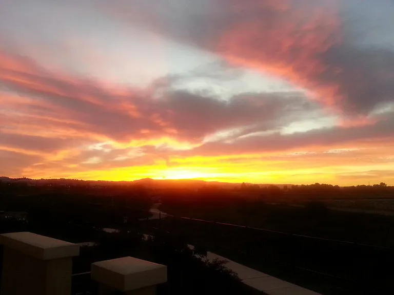 View from Patio
