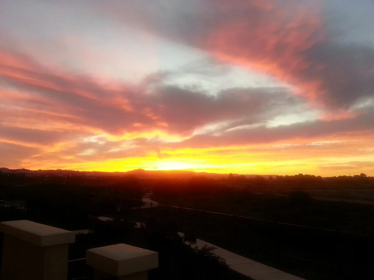 View from Patio - 210 Waldron Dr