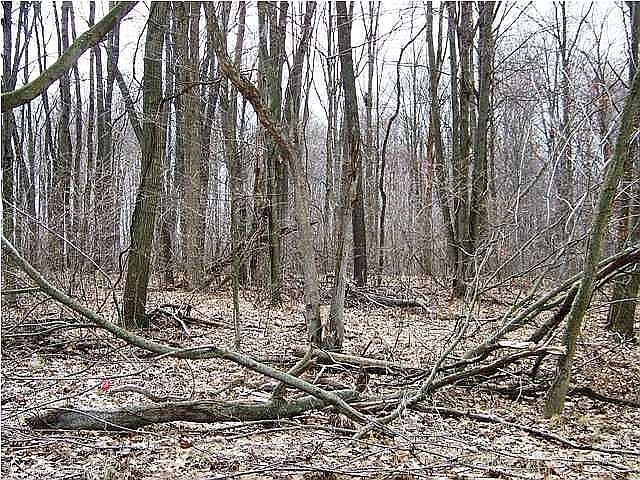 1st image of 4318 Woodside Meadow Ct #10