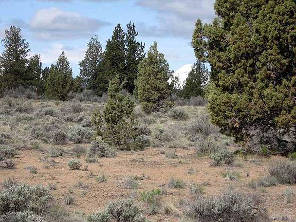 5th image of 64445 Coyote Run Ln