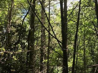 1 Wilson Rd, Tellico Plains, TN 37385