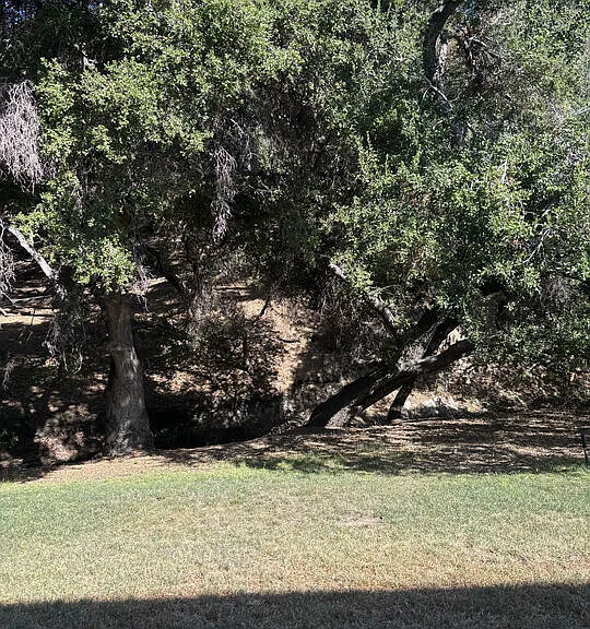 23635 Park Capri #30 — Photo 16