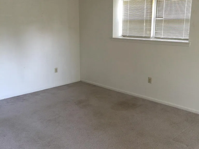 Finished Basement