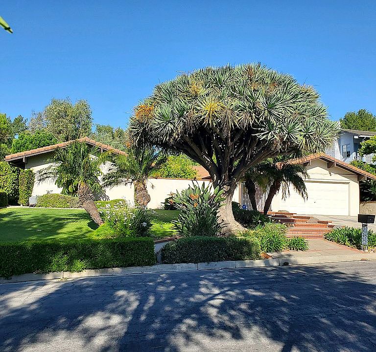 2nd image of 1401 Hollydale Dr
