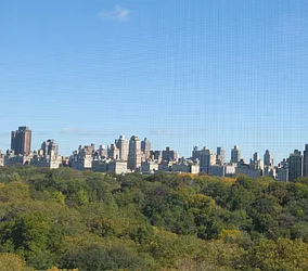 Sold by G. Laurie Cooper